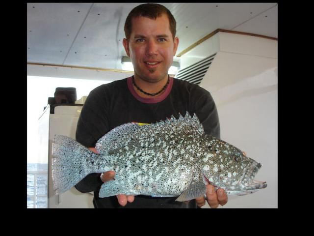 Purple Maori Cod taken on a Broken Arrow jig